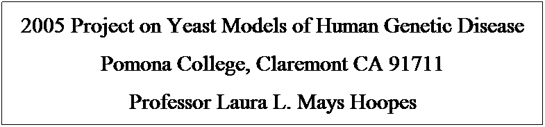 Text Box: 2005 Project on Yeast Models of Human Genetic Disease
Pomona College, Claremont CA 91711
Professor Laura L. Mays Hoopes