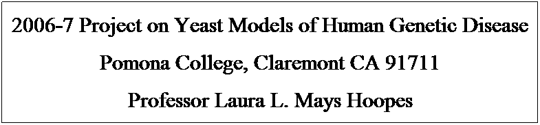 Text Box: 2006-7 Project on Yeast Models of Human Genetic Disease
Pomona College, Claremont CA 91711
Professor Laura L. Mays Hoopes