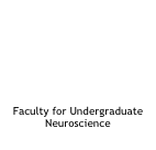 





Faculty for Undergraduate Neuroscience