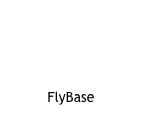 




FlyBase